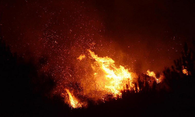 Vasto incendio nel Cilento. In fumo oltre 50 ettari di macchia mediterranea