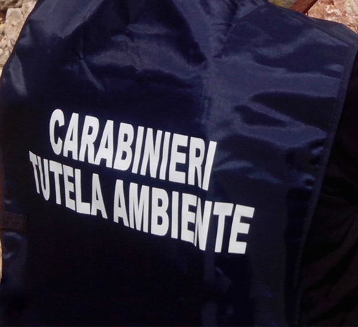 carabinieri noe ambiente nuova 1